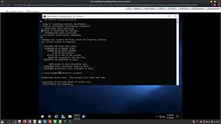 Prepare Windows Server 2019 for Rescuezilla Imaging