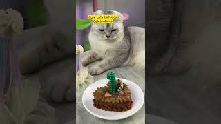 Cute Cats Birthday Celebrations