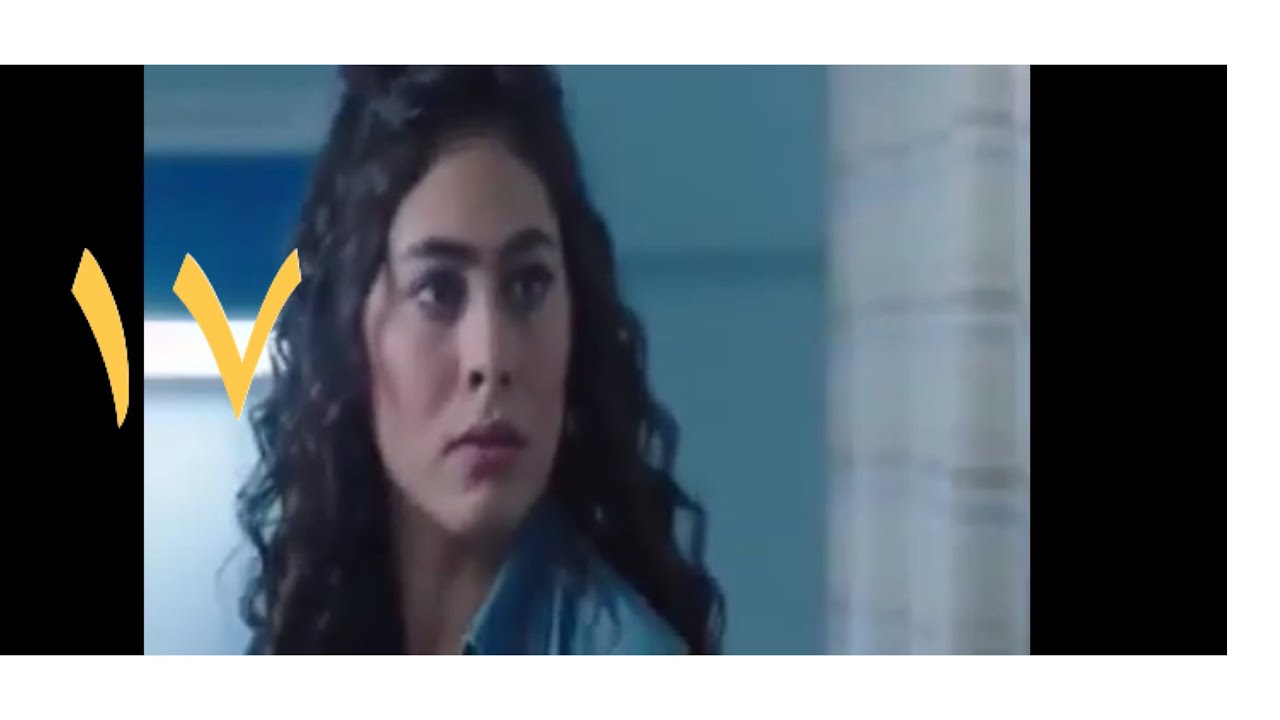 مسلسل ضربة معلم الحلقة 17 dailymotion