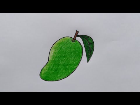 สอนวาดรูประบายสีมะม่วง​แบบง่าย​ ๆ​ ❤️How​ To​ Draw​ Mango​ easy Step​ by​ Step.