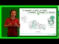 Learn Esperanto - Explanation of whole grammar - With the help of 'La ŝalmisto de Hamelin'