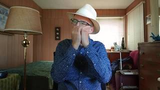 Against The Wind (Bob Seger) harmonica