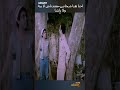 احنا هنا شحاتين معندناش لا بية ولا باشا عادل امام الزعيم كوميديا