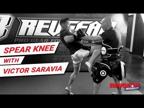 SPEAR KNEE