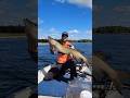 windy day go to the rocks #canada #fishing #musky #fish #canada