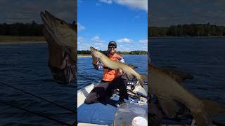 windy day go to the rocks #canada #fishing #musky