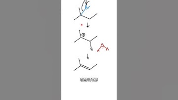 E1 Reactions in 60 SECONDS!