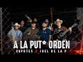 A la put* orden - Capotes & Joel de la P