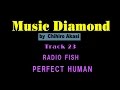 CD紹介 Track23 RADIO FISH PERFECT HUMAN