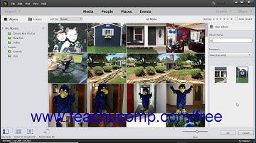 Photoshop Elements 2019 Tutorial Creating and Using Albums Adobe Training