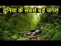 दुनिया के सबसे बड़े जंगल | Top 10 Largest and DANGEROUS Forest in World