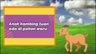 Lagu Anak Kambing Saya_Karaoke/Minus one