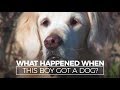 What Happened When this Autistic Boy Got a Dog?