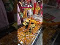 बहुत ही सुंदर 🥰हल्दी भोलेनाथ जी की 💛#haldiceremony #bholenath #youtubeshorts #trending #shivratri