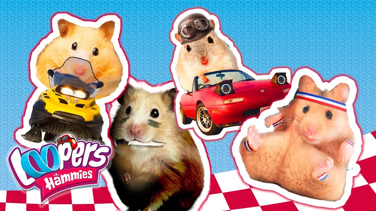 hamster-en-laberinto-loopers-hamster-dibujos-animados-para-ni-os