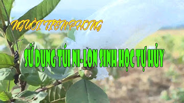 ĐIỆN BIÊN - NÓI KHÔNG VỚI RÁC THẢI NHỰA: NGƯỜI TIÊN PHONG SỬ DỤNG TÚI SINH HỌC TỰ HỦY