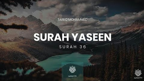 Qari Tariq Muhammad | Surah Yaseen ||سورة "يَسِ" كاملة || القارئ طارق محمد