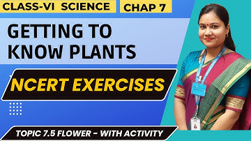 Getting To Know Plants NCERT Exercises / Class 6 Science Chapter 7 Key Words and NCERT Exercises