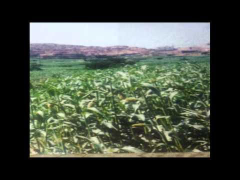 غدر الليالي الشاعر أبو عمار