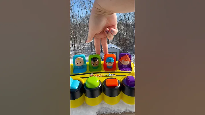 PeRfect Fun CoComeLon Pop N pLaY PaLs