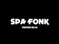 Premier bilan - Spazfonk