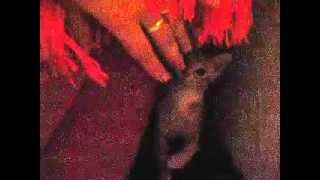 Conan - Yo Hago De Todo Por Mis Objetivos...