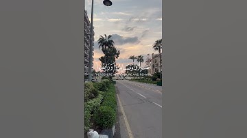 سورة آل عمران 🤍🌹 #قرآن #قران_كريم #العرب #ناصر_القطامي #راحة_نفسية #اكسبلور #سورة_آل_عمران