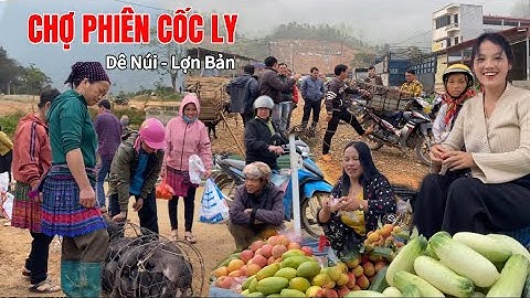 CHỢ PHIÊN CỐC LY / NƠI TỤ HỌP DÊ NÚI, LỢN BẢN, GÀ ĐEN, ẨM THỰC NGON HẤP DẪN |QUỐC KỲ VLOG