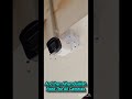 CCTV IP cameras installation with full setup #securitysystem #cctv #viral #cctvsurveillance #camera