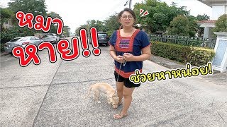 หมาหาย!! เลม่อนหายออกจากบ้าน ช่วยกันตามหาหน่อย! | แม่ปูเป้ เฌอแตม Tam Story