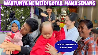 Download Lagu MAMA SENANG AKHIRNYA MEIMEI DIBOTAK JUGA, LANJUT KE DESA PUNGUT CHESTNUT HUTAN MP3 Download Lagu MAMA SENANG AKHIRNYA MEIMEI DIBOTAK JUGA, LANJUT KE DESA PUNGUT CHESTNUT HUTAN MP3