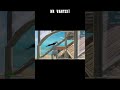 NR VANTIX is NOT Human… EU trios deleted 💀 FNCS highlight #Fortnite #FNCS #NRVANTIX #EUW LEVELS