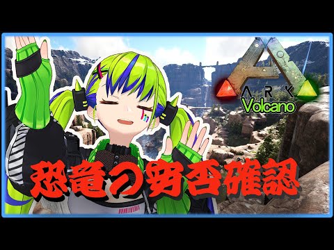 video thumb