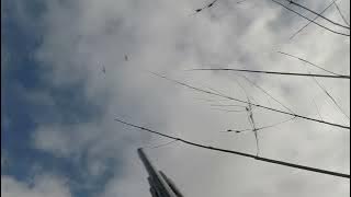 1 more rossy POV