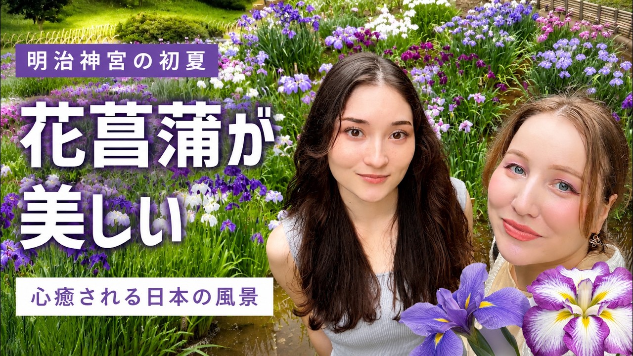 原宿のど真ん中に隠された秘密の森…満開の花菖蒲が美しすぎて感動が止まらない【明治神宮】
