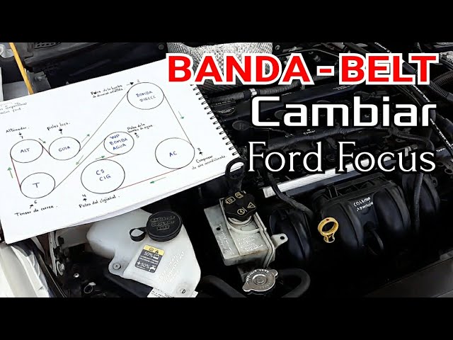Cómo cambiar la BANDA o CORREA de Poleas de Ford Focus 2008-2011 
