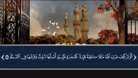 تلاوة عطرة من صلاة الفجر للقارئ الشيخ سامح مصطفى ما تيسر من سورة إبراهيم