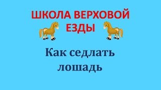 Как седлать лошадь