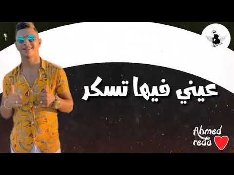 حلات واتس اب   نجمه عاليه وفى السما وبتنور