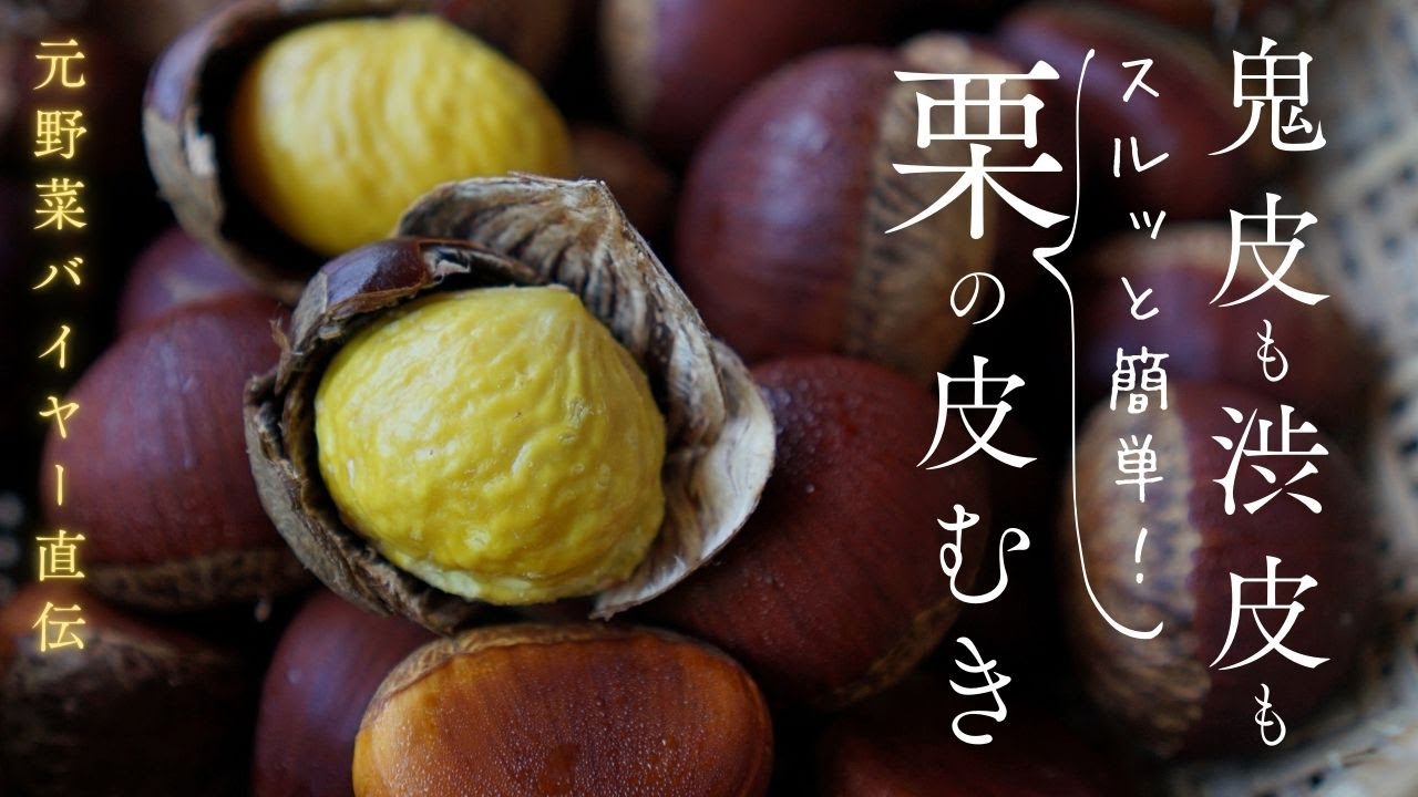 鬼皮も渋皮もスルッと剥ける！プロ直伝の簡単栗の皮むきテクニック｜栗の虫食いチェックとさらに甘くする追熟方法も｜