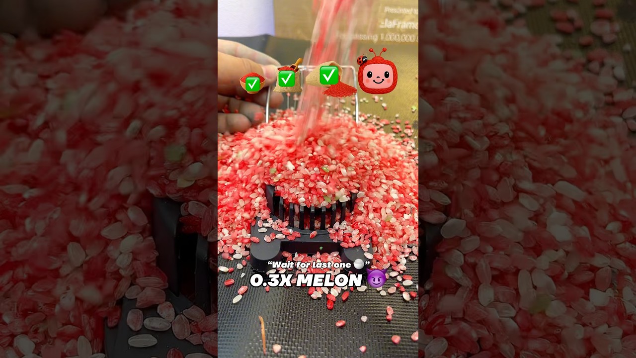 Эволюция CocoRice 🤣🤪 