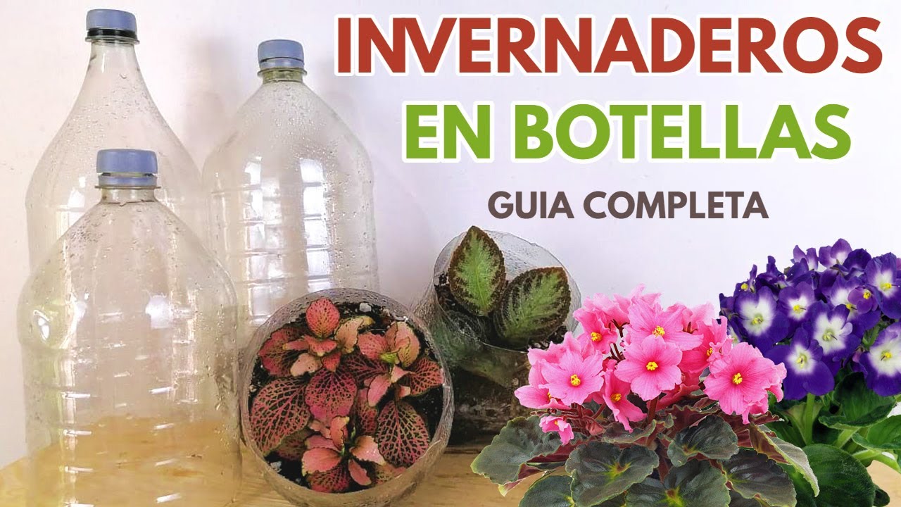 invernadero en botellas CHUYITO JARDINERO