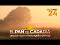 Evangelio de hoy sábado 24 de octubre de 2020, EL PAN DE CADA DÍA, Arquidiócesis de Manizales