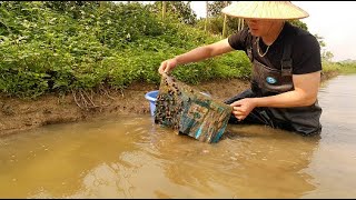 Raising snails and catching snails in ponds - peaceful life in the countryside of Vietnam #24