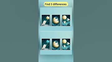 can you find the 3 hidden differences?