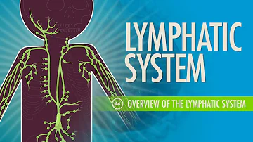 Lymphatic System: Crash Course Anatomy & Physiology #44