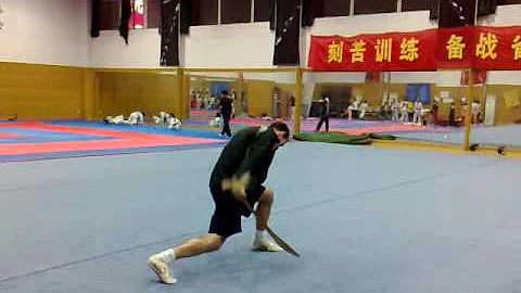 Lucas Geller Wushu