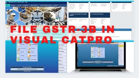 FILE GSTR-3B USING VISUAL CATPRO l HOW TO FILE GSTR-3B IN CATPRO#Anusing mac - market,acc & crypto