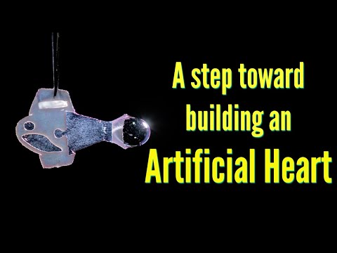 Biohybrid fish made from human cardiac cells swims like the heart beats | Artificial Heart