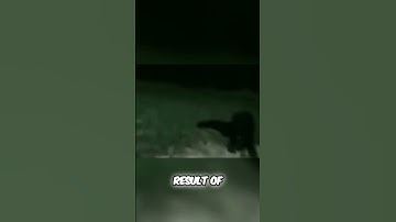 Real Werewolf Interview: Shocking Proof of Existence